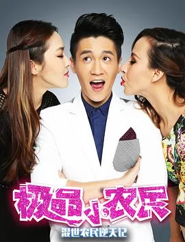 极品小农民海报