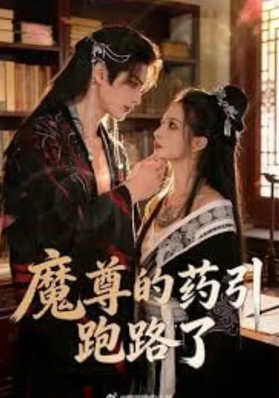 魔尊的药引跑路了海报