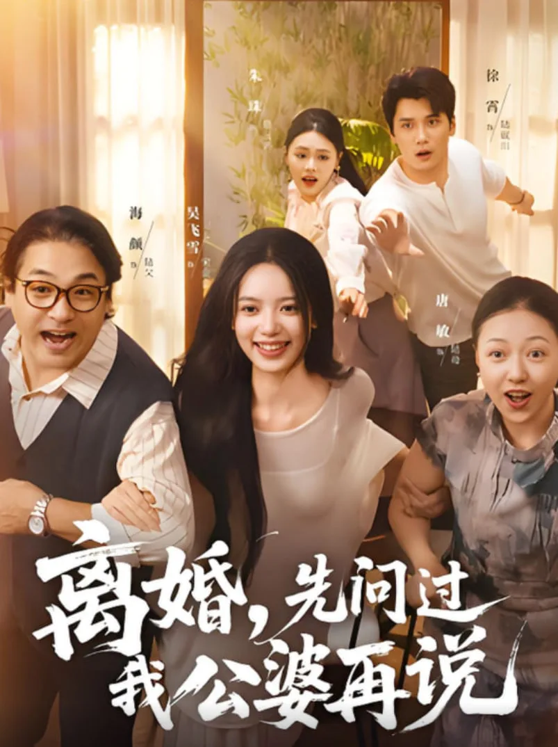 离婚先问过我公婆再说海报