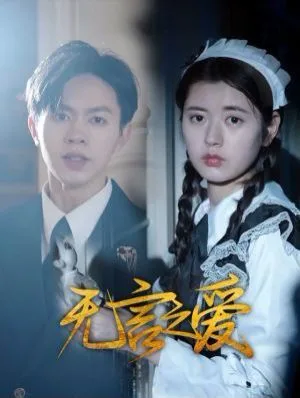 无言之爱海报