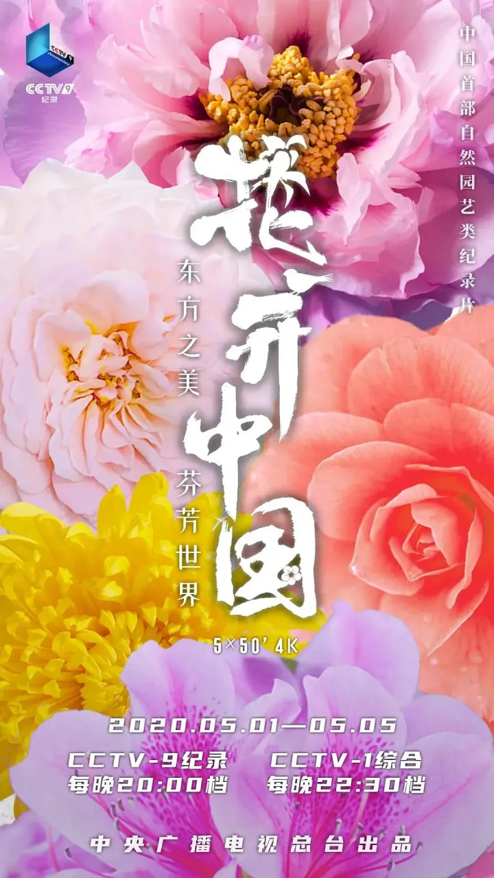 花开中国海报