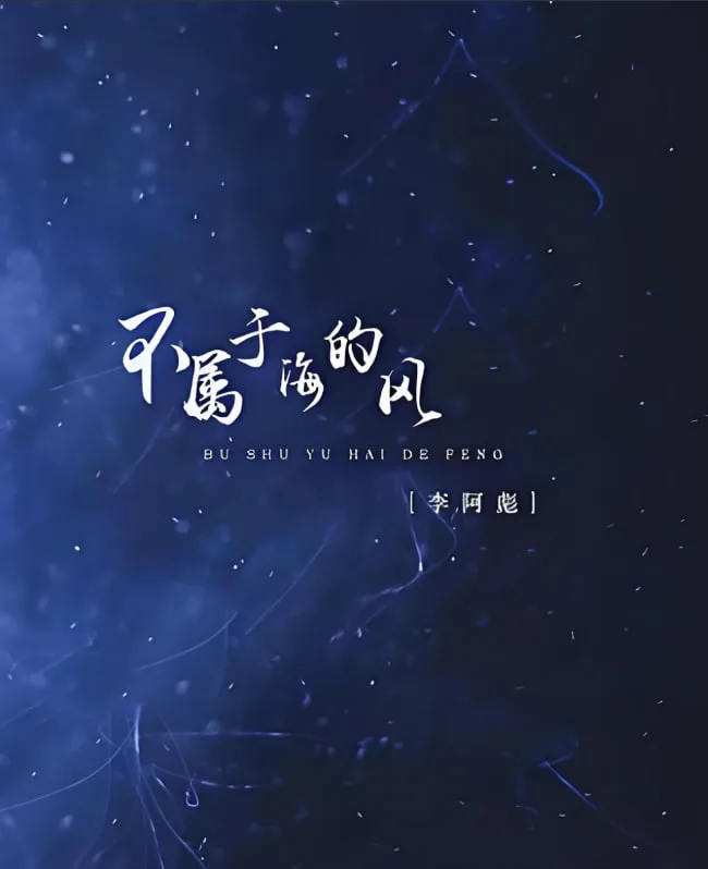 不属于海的风海报
