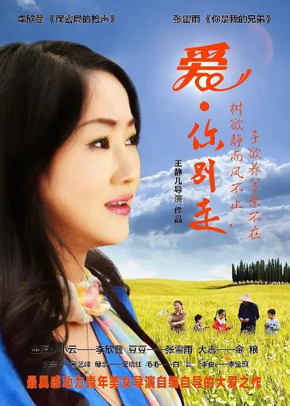 爱·你别走海报