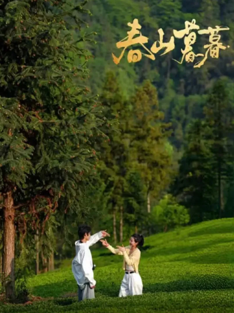 春山暮暮海报