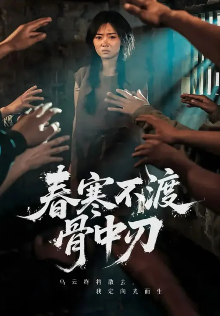 春寒不渡骨中刃海报