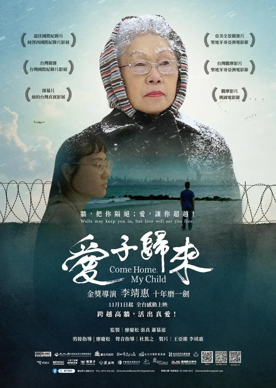 爱子归来海报