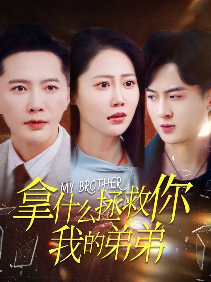 拿什么拯救你我的弟弟海报