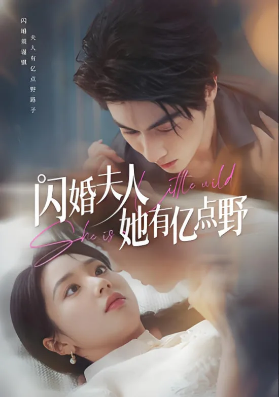 闪婚夫人她有亿点野海报
