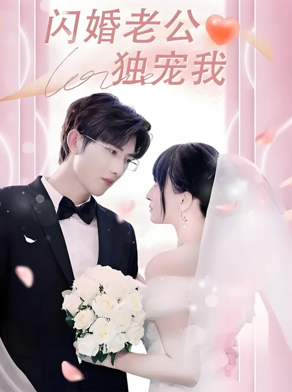闪婚老公独宠我海报