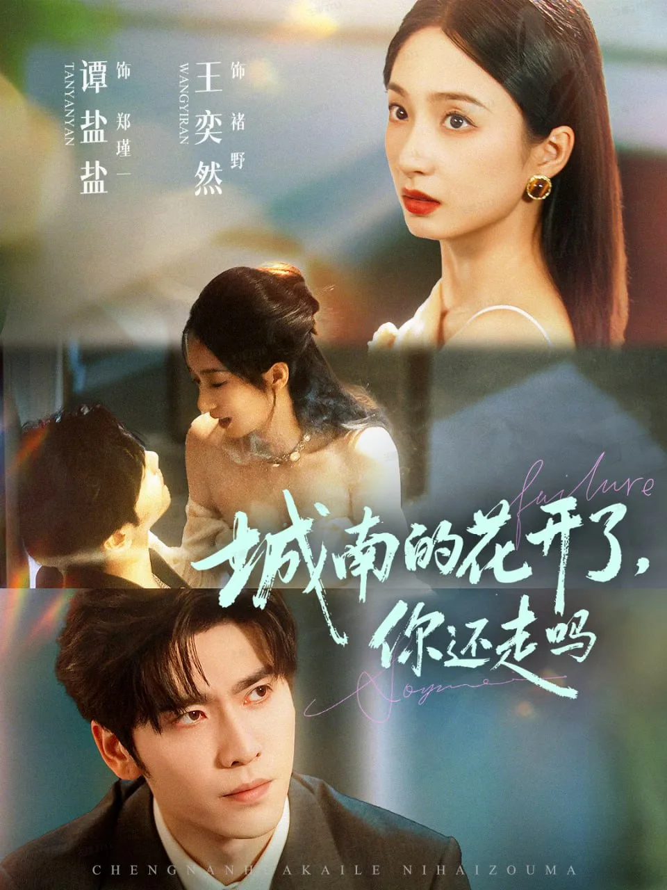 城南的花开了，你还走吗海报