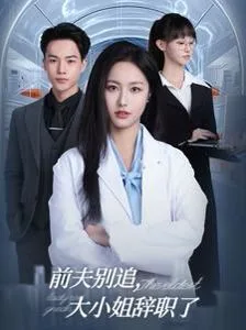 前夫别追大小姐辞职了海报