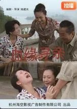 血缘寻亲海报
