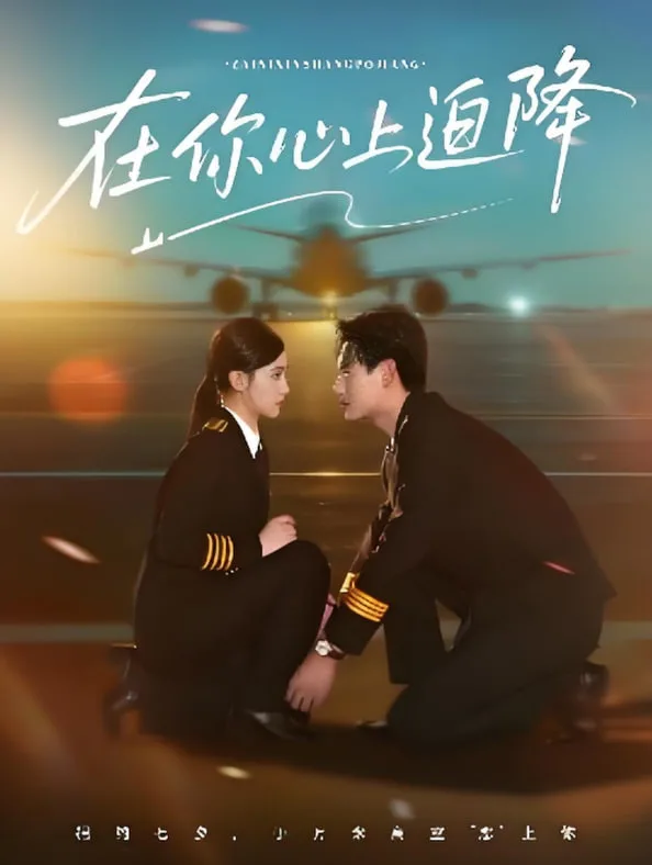 在你心上迫降海报