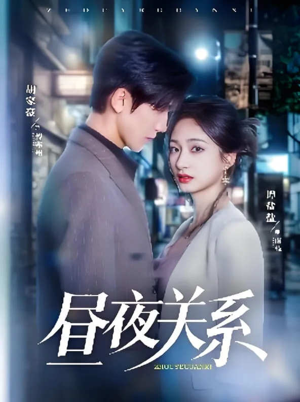昼夜关系海报