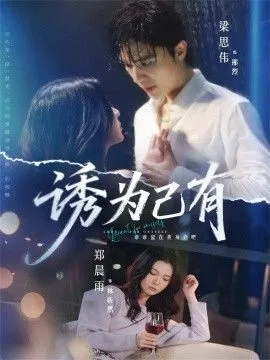 诱为己有海报