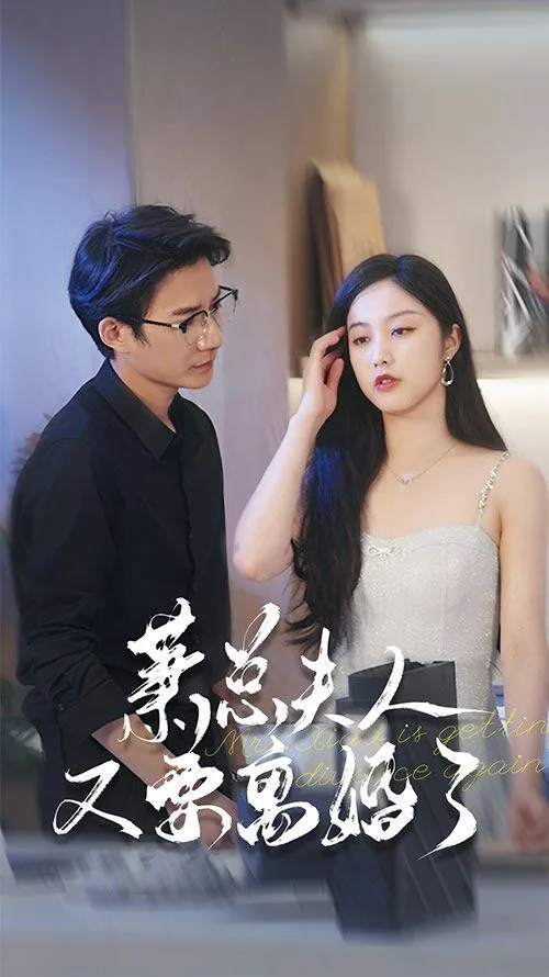 萧总夫人又要离婚了海报