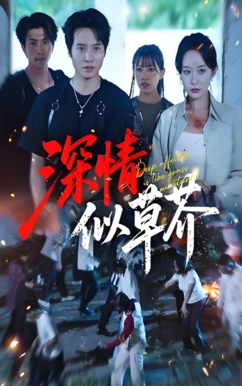 深情似草芥海报