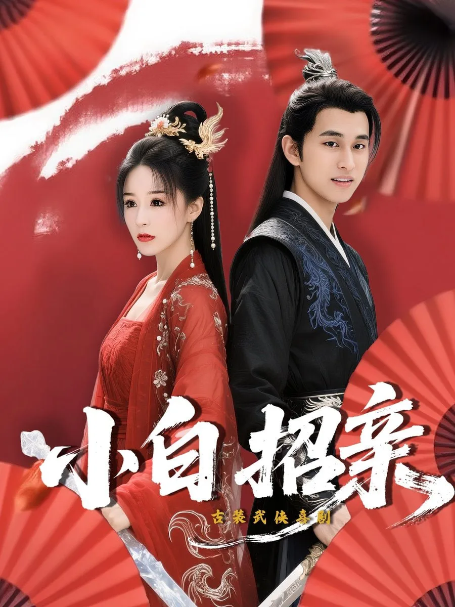 小白招亲海报