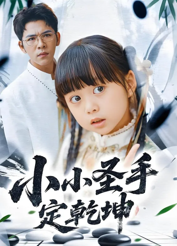 小小圣手定乾坤海报