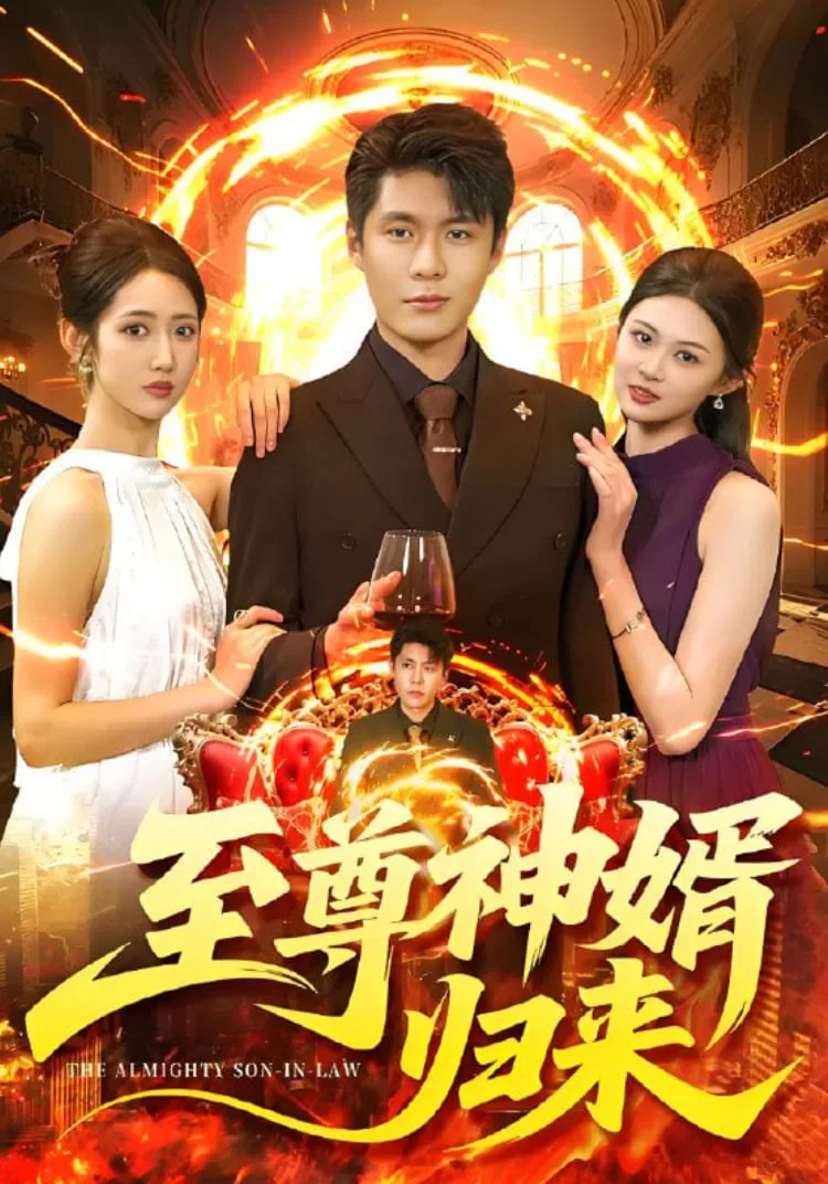 至尊神婿归来海报