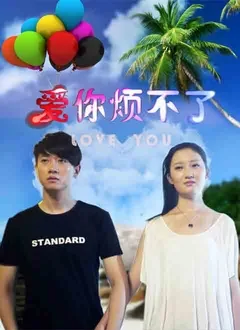 爱你烦不了海报
