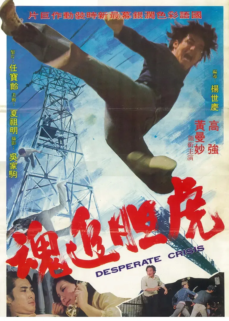 虎追魂海报