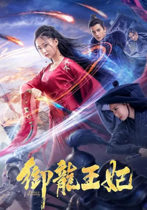 御龙王妃海报