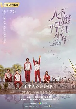 人不彪悍枉少年海报