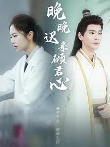 晚晚迟来倾君心海报
