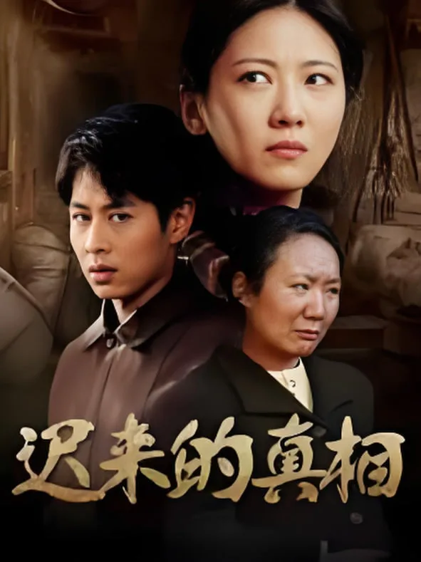 迟来的真相（因果）海报