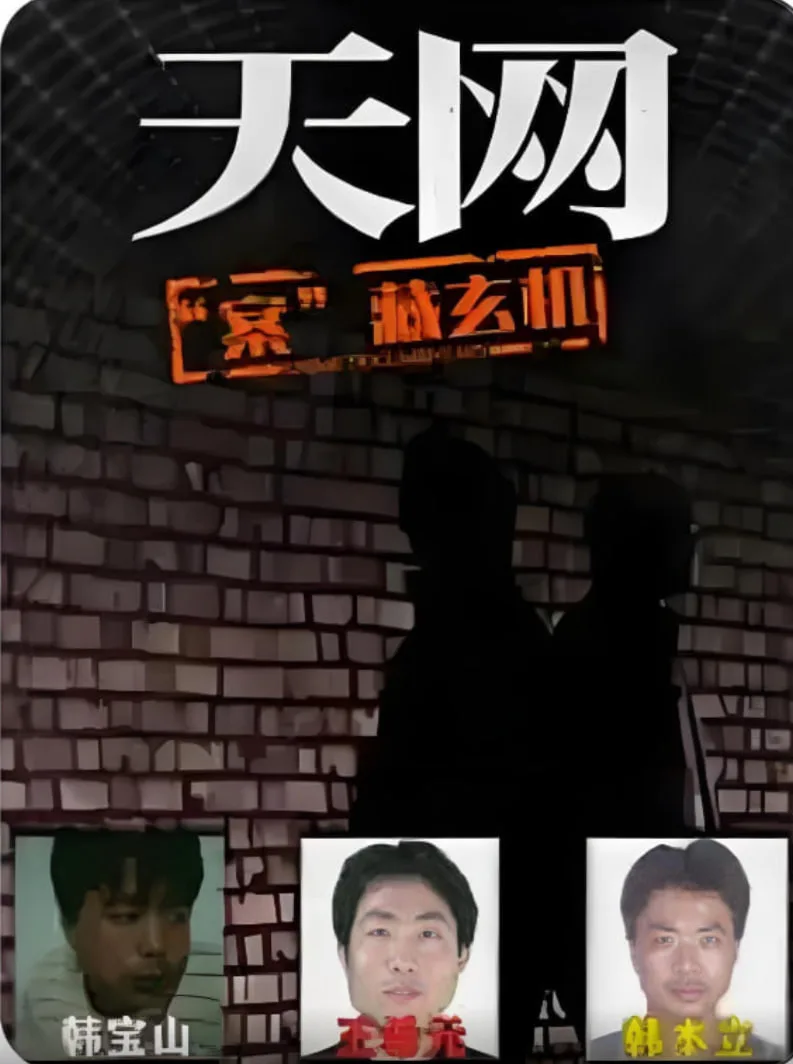 天网：“案”藏玄机海报