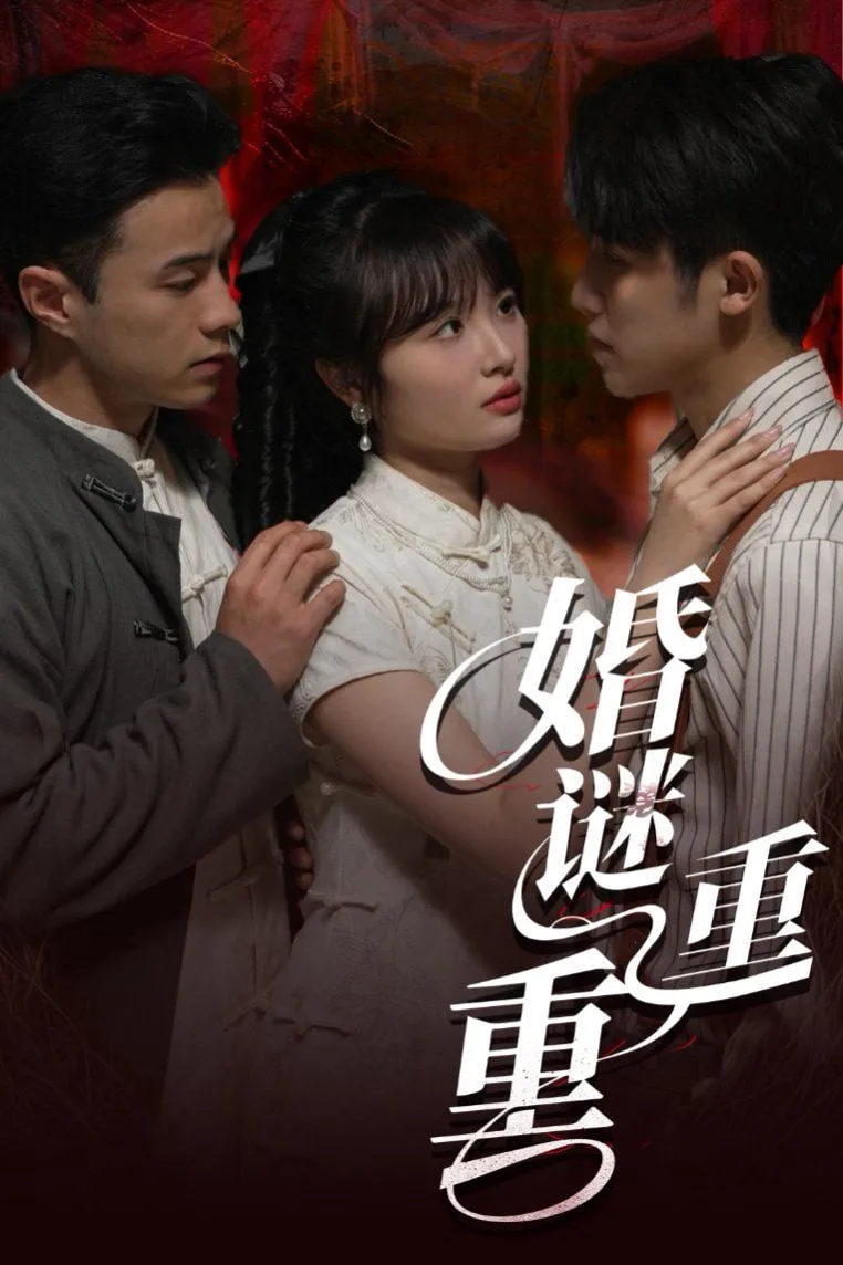 婚谜重重海报