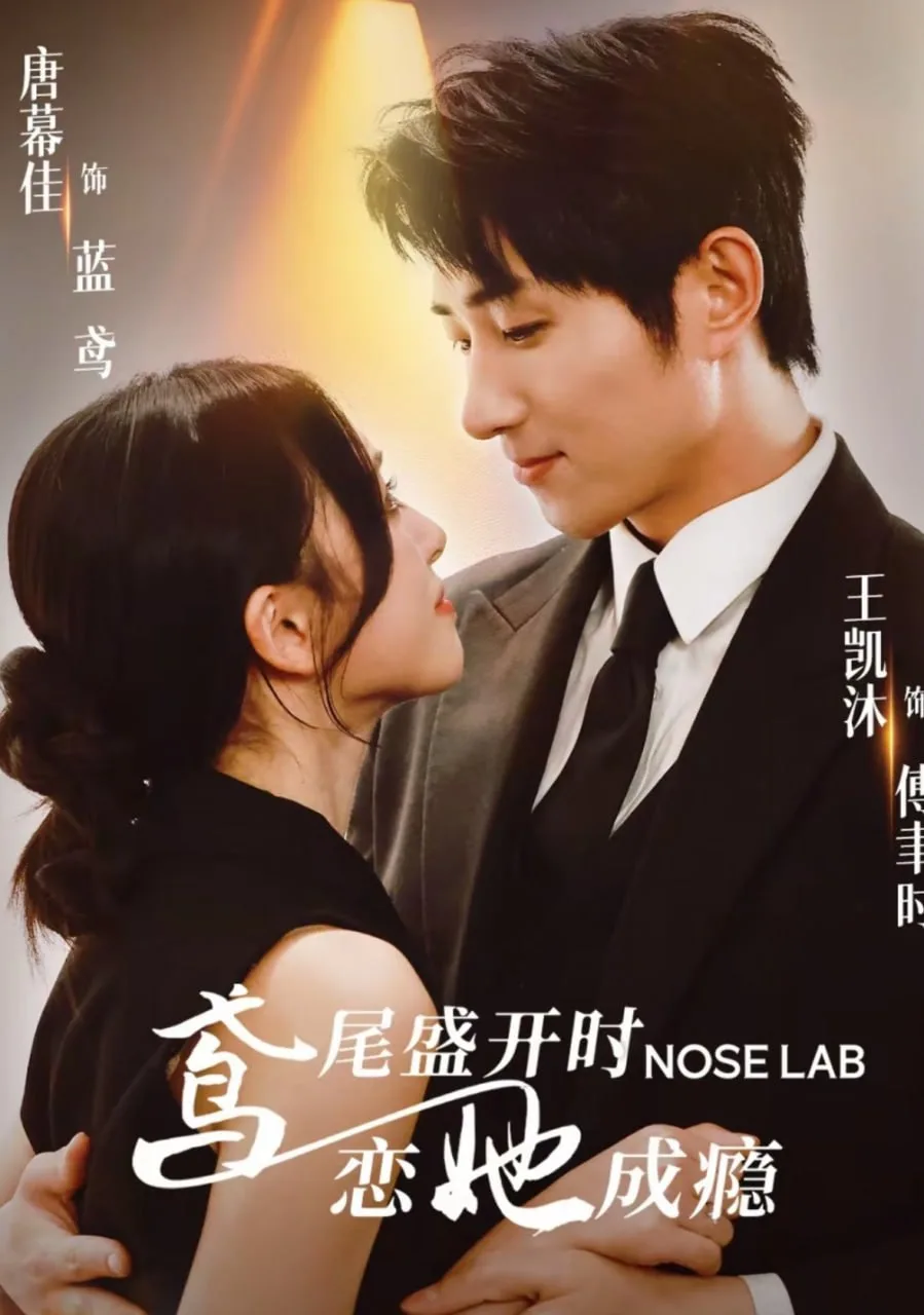 鸢尾盛开时恋她成瘾海报