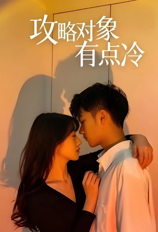 攻略对象有点冷海报
