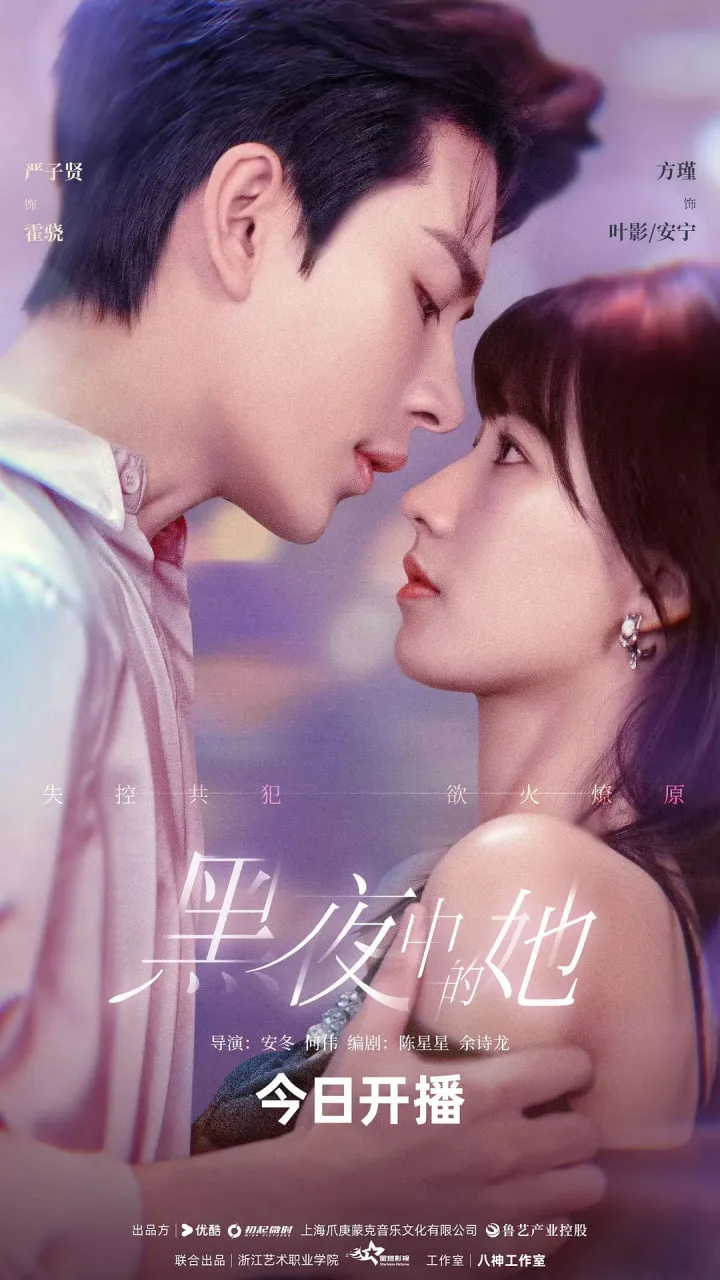 黑夜中的她海报