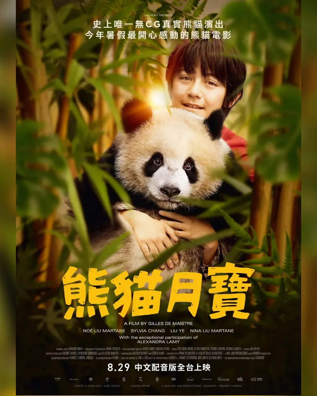 熊猫月亮海报