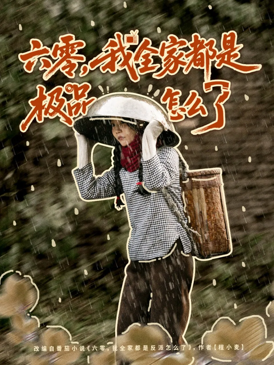 六零，我全家都是极品怎么了海报