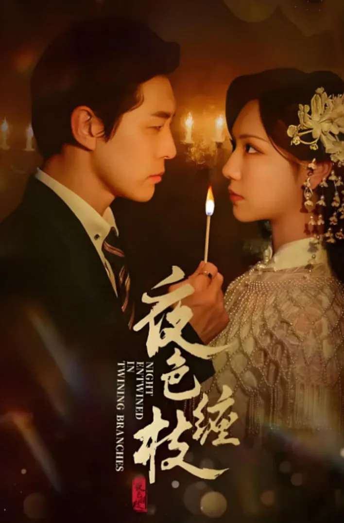 夜色缠枝海报