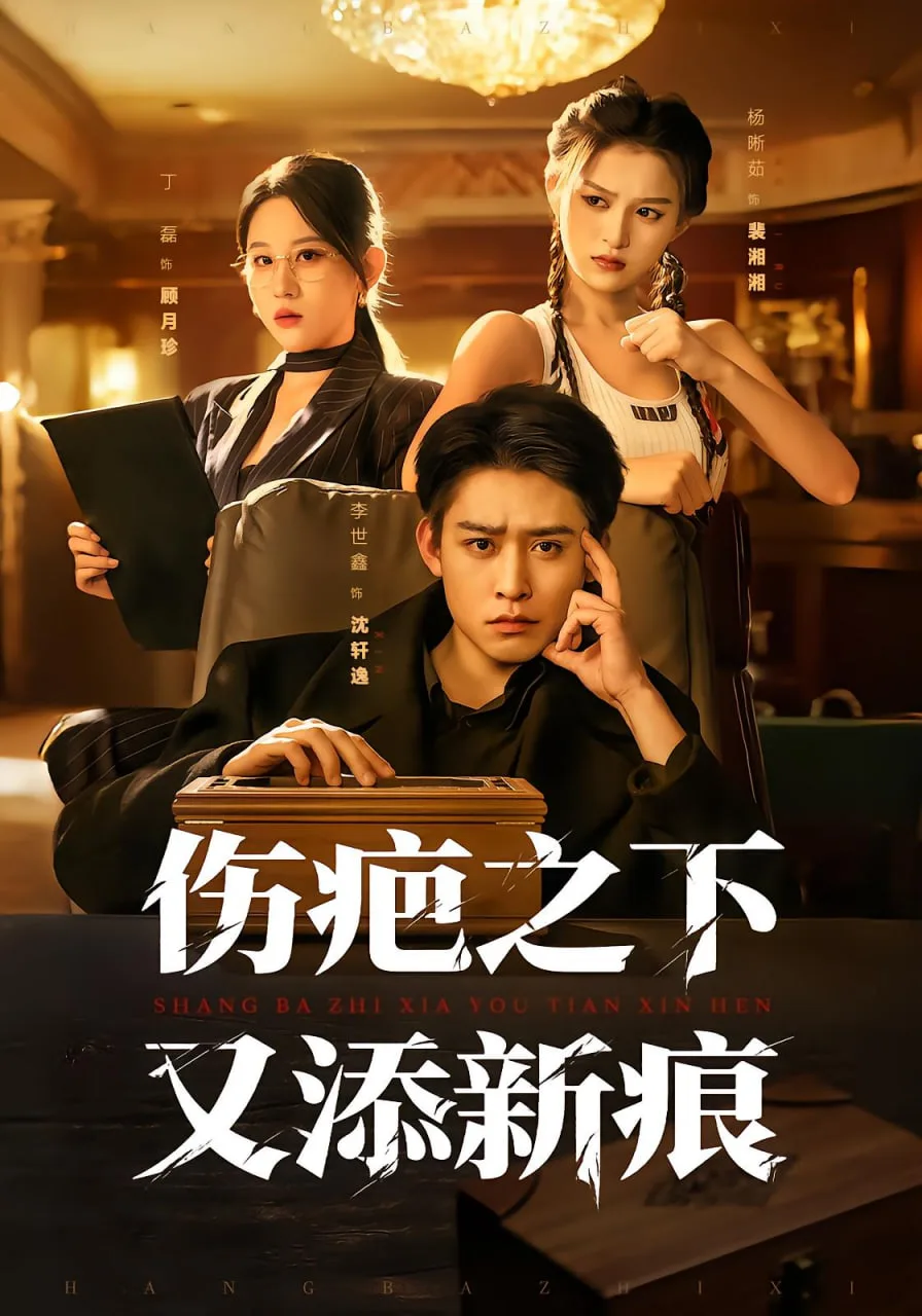 伤疤之下又添新痕海报