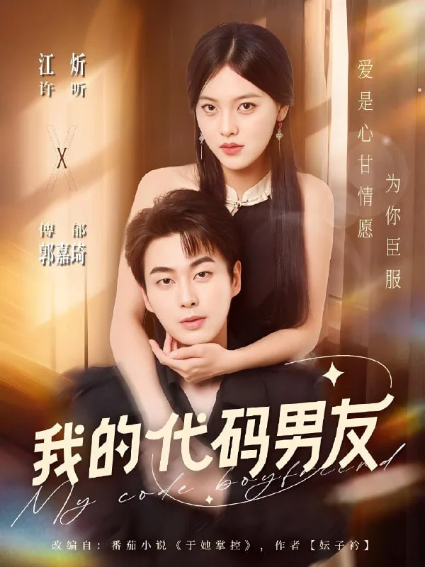 我的代码男友海报
