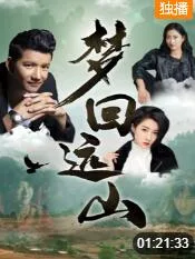 梦回远山海报