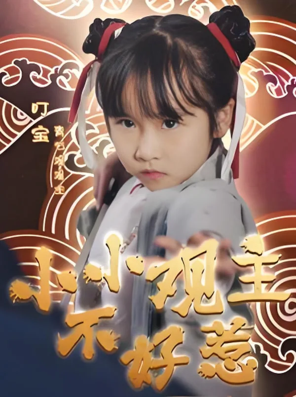 小小观主不好惹海报
