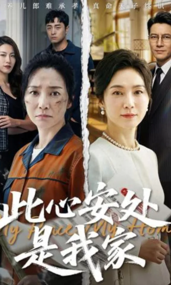 此心安处是我家海报