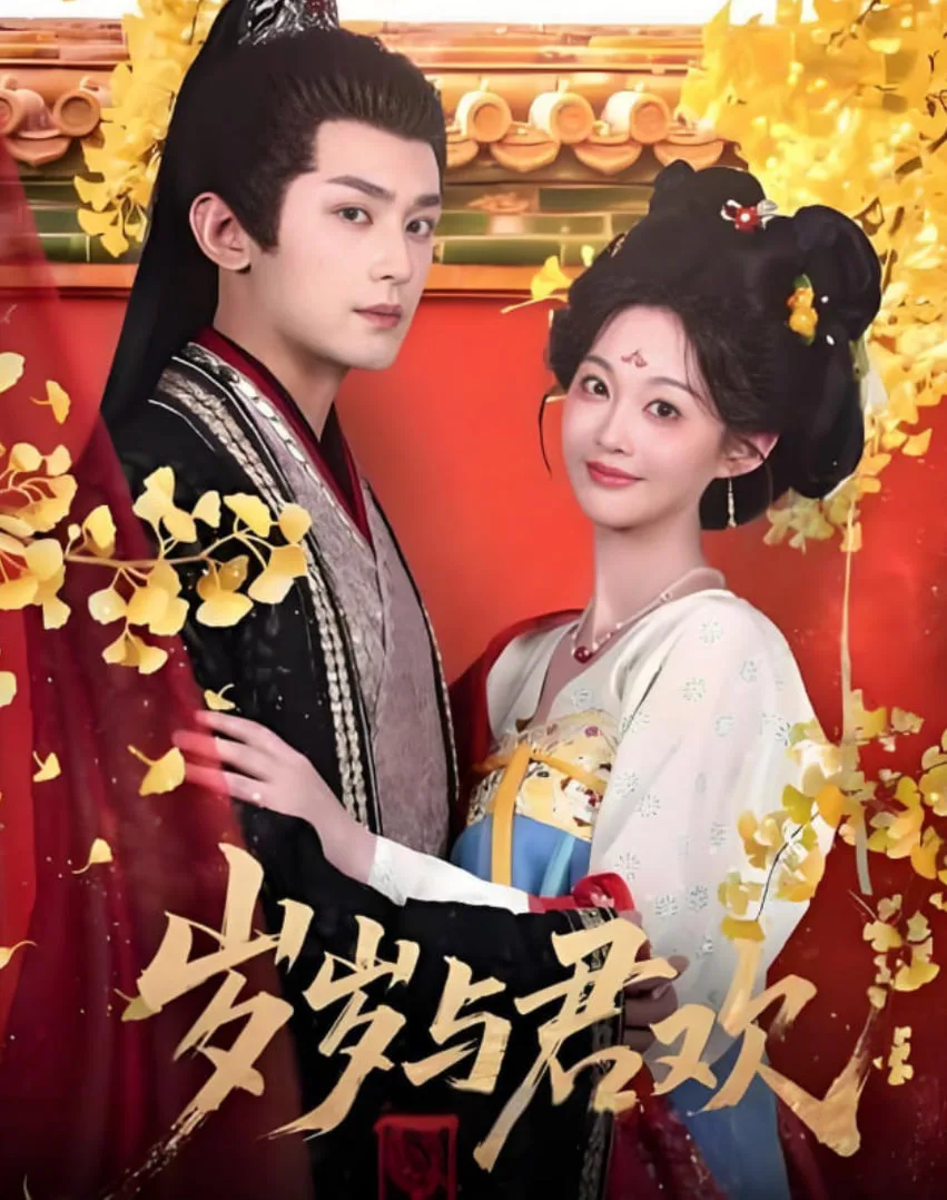 岁岁与君欢海报