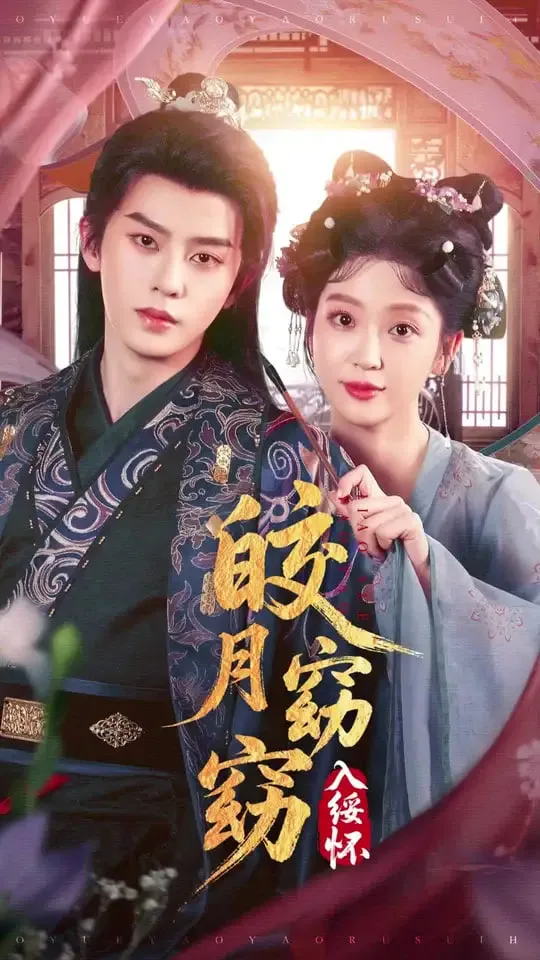 皎月窈窈入绥怀海报