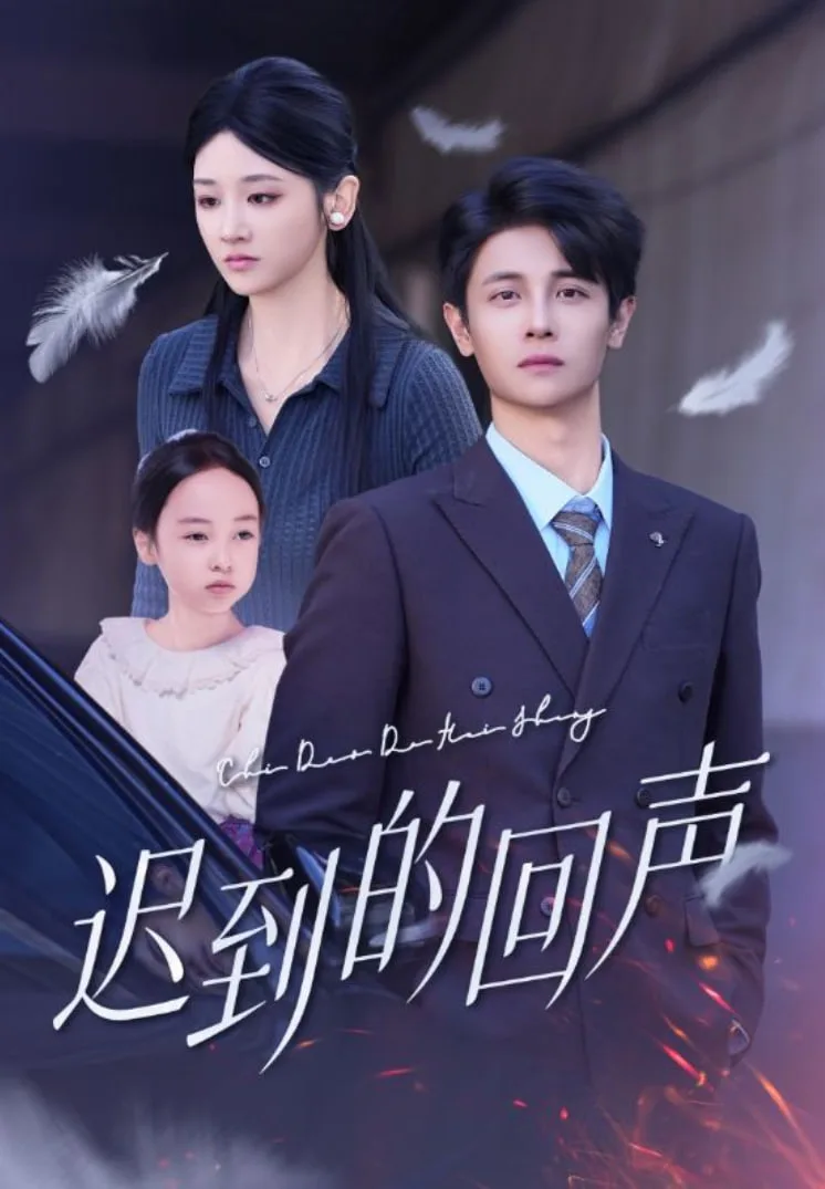 迟到的回声海报