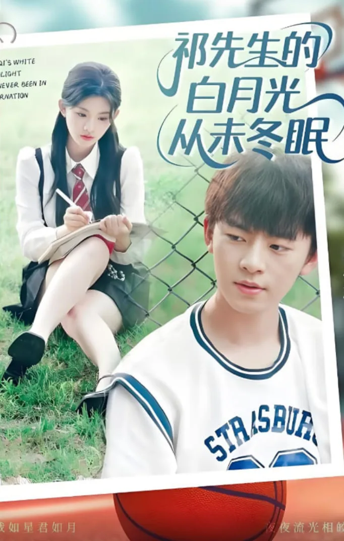 祁先生的白月光从未冬眠海报