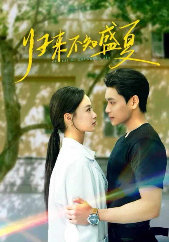归来不知盛夏海报