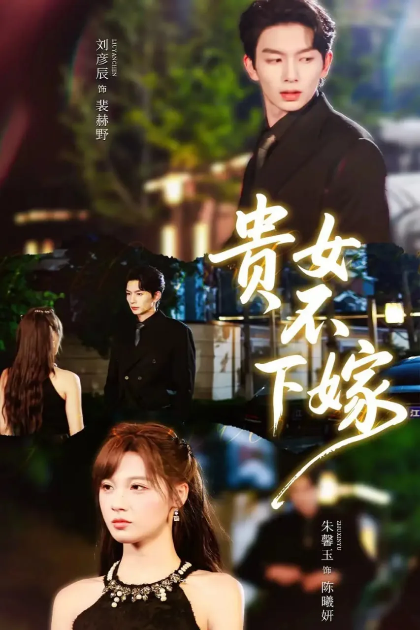 贵女不下嫁海报