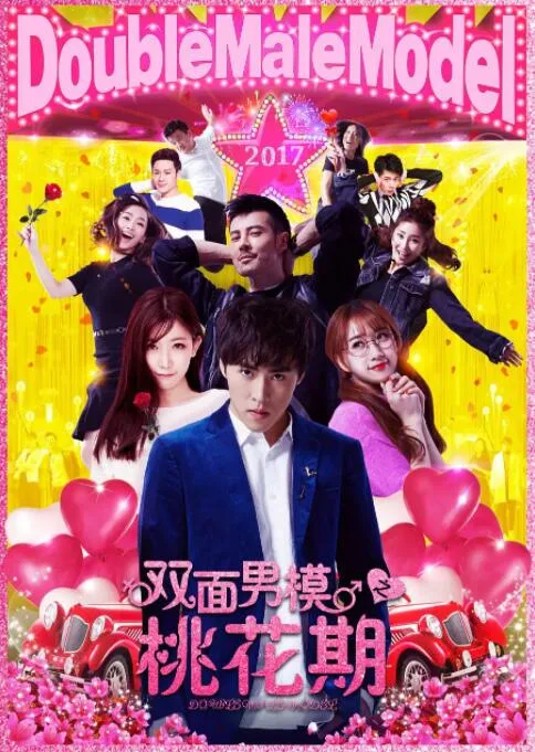 双面男模之桃花期海报